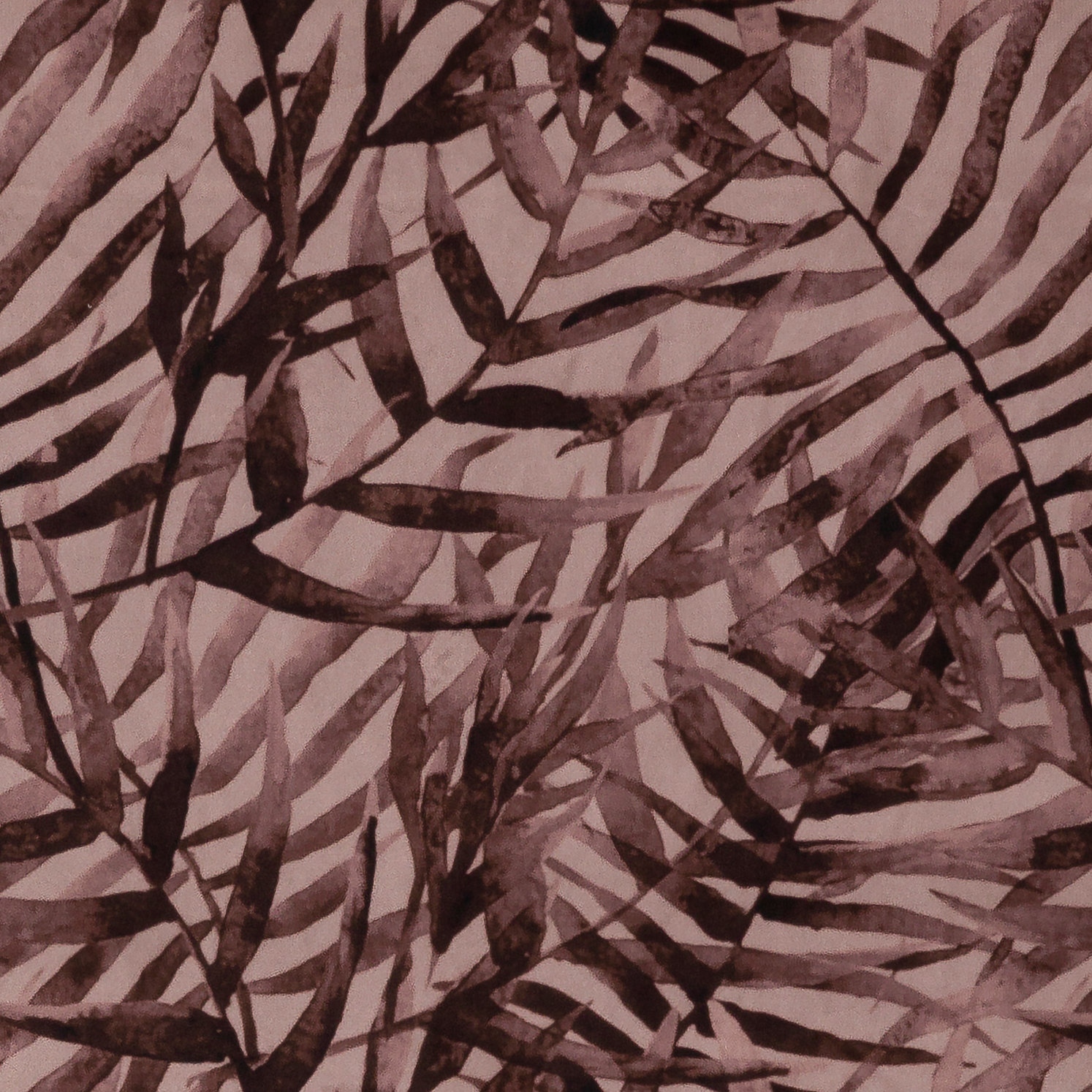 Maldives Botanical Lilac