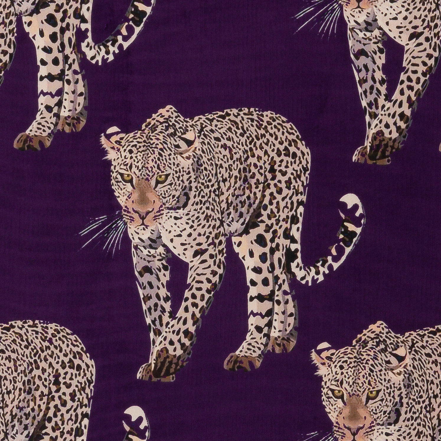 SEIH Safari Leopard Amethyst