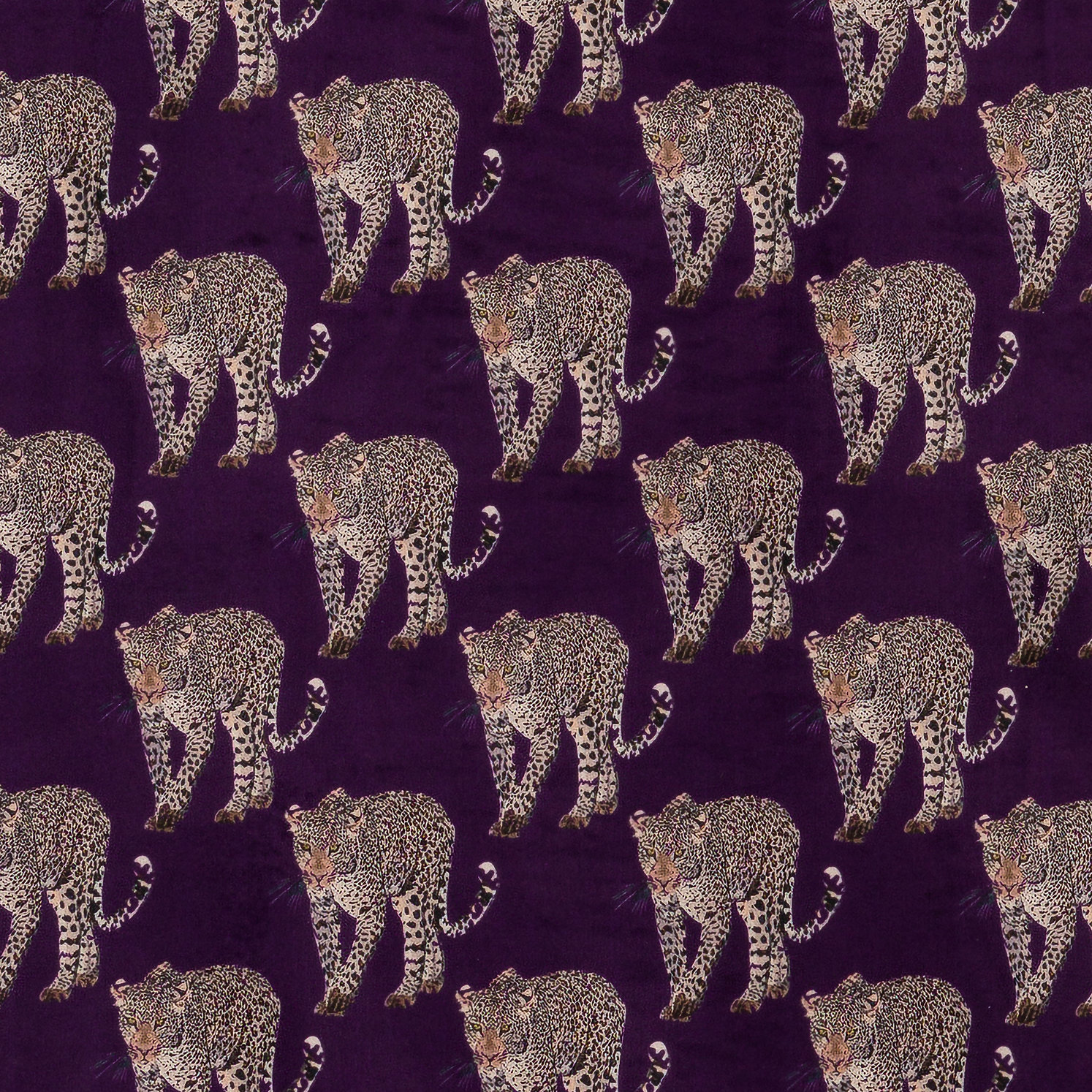 SEIH Safari Leopard Small Amethyst