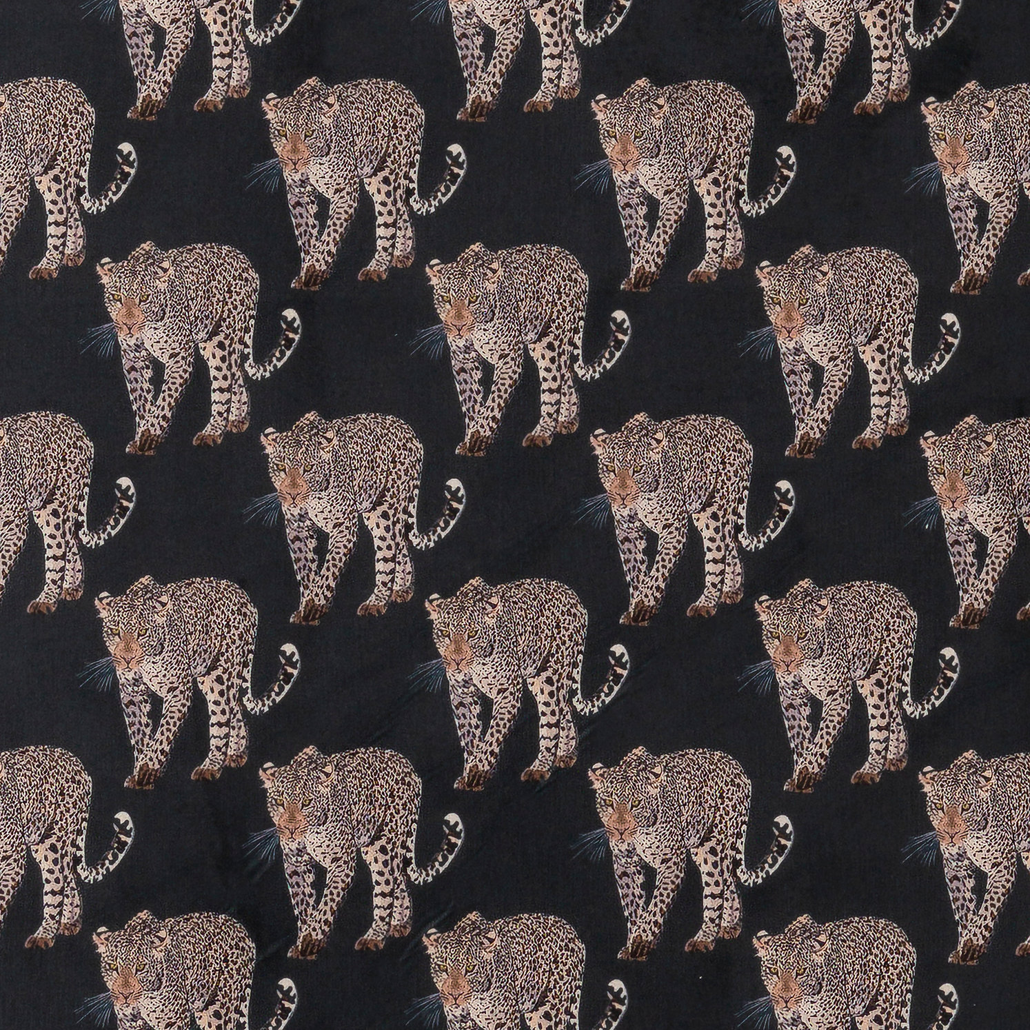 SEIH Safari Leopard Small Charcoal