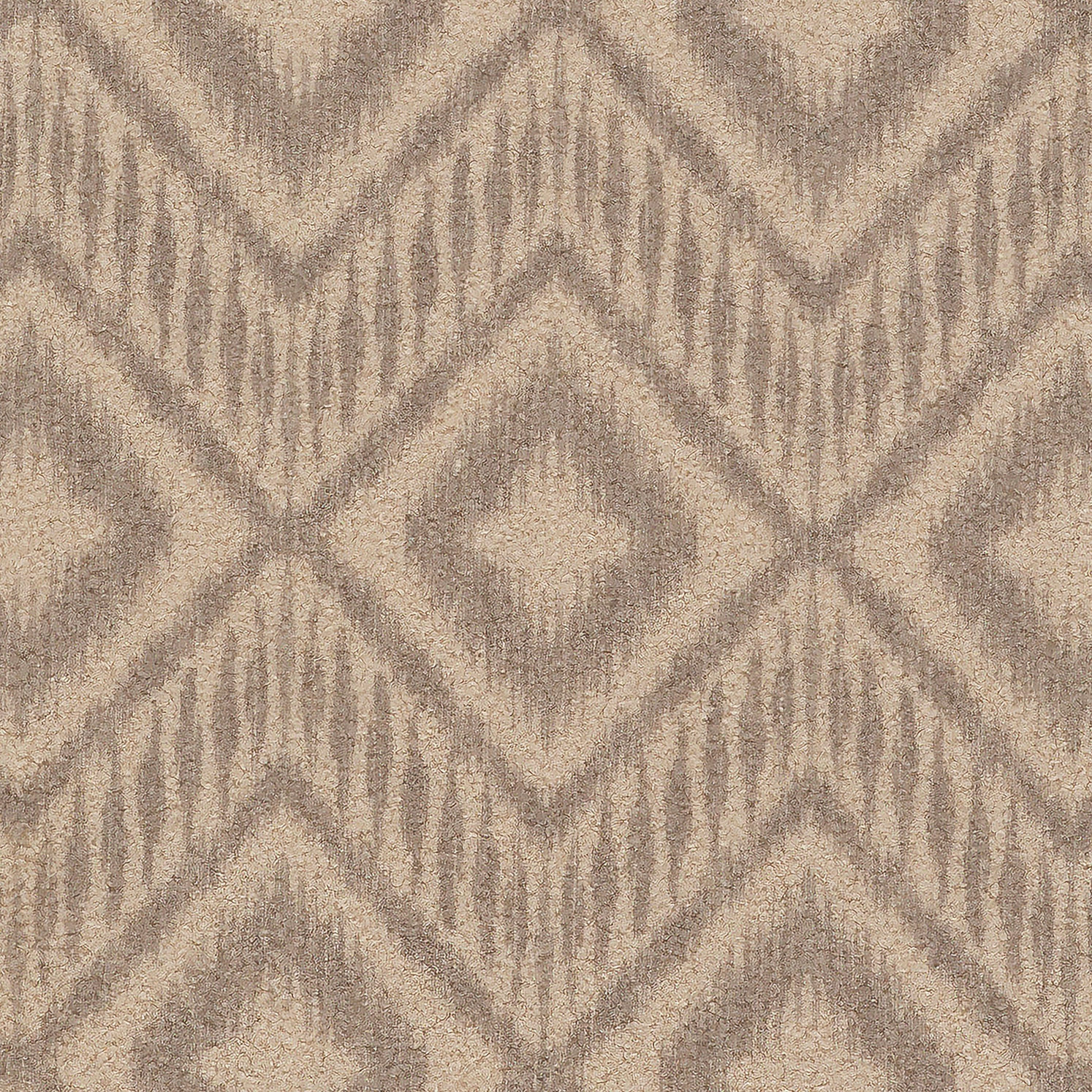 Teddy Latte Ikat Chevron